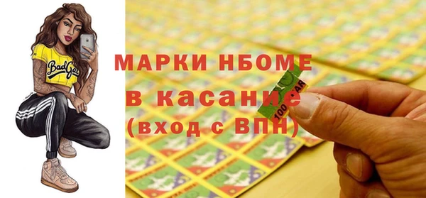 индика Верея