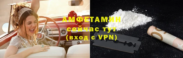 индика Верея