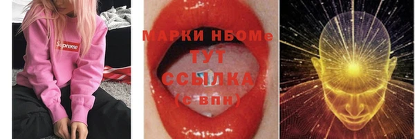 индика Верея