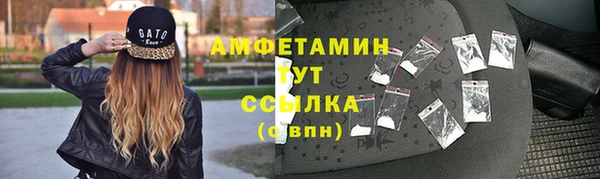 индика Верея