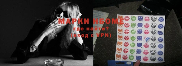 индика Верея