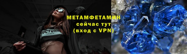 индика Верея