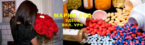 индика Верея