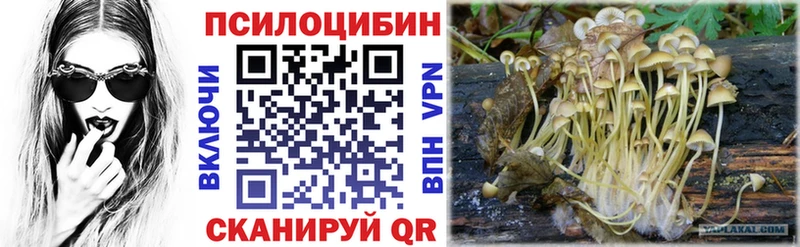 Галлюциногенные грибы Cubensis  ссылка на мегу ТОР  Бирюч 